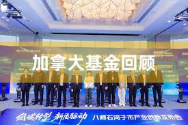 加拿大基金回顾