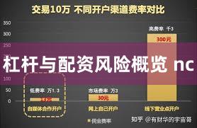 杠杆与配资风险概览 nc