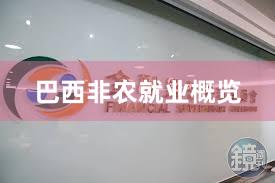 巴西非农就业概览