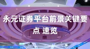 永元证券平台前景关键要点 速览
