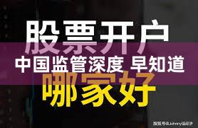 中国监管深度 早知道