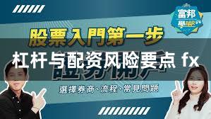 杠杆与配资风险要点 fx